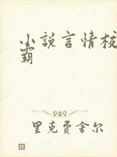 小说言情校园校霸