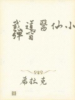 武道医仙小说无弹窗