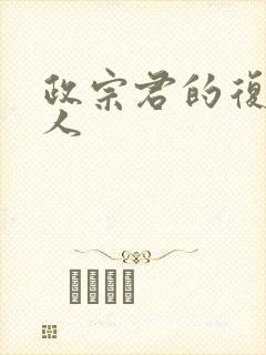 政宗君的复仇同人