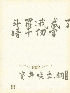 斗罗:我成了黑暗千仞雪