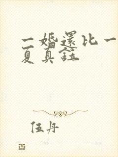 一婚还比一婚高夏真钰封面