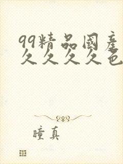 99精品国产久久久久久色婷婷