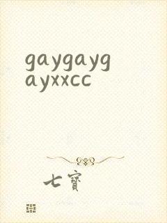gaygaygayxxcc