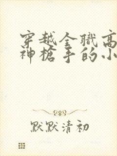 穿越全职高手玩神枪手的小说封面