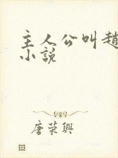 主人公叫赵青的小说