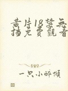 黄片18禁无遮挡免费观看入口封面