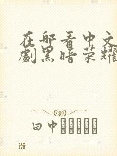 在哪看中文版韩剧黑暗荣耀第二季封面