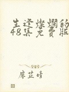 生逢灿烂的日子48集免费版封面