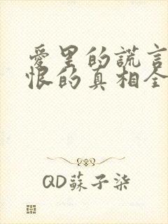 爱里的谎言,仇恨的真相全集免费