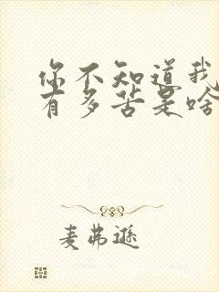 你不知道我心里有多苦是啥歌