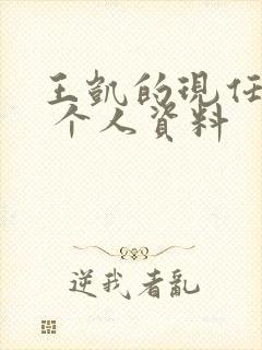 王凯的现任老婆 个人资料