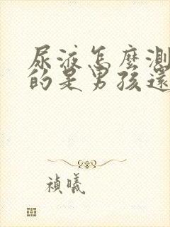 尿液怎么测出怀的是男孩还是女