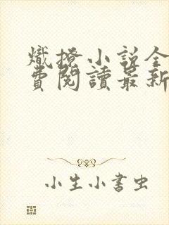 炽撩小说全文免费阅读最新章节