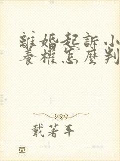 离婚起诉小孩抚养权怎么判