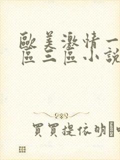 欧美激情一区二区三区小说
