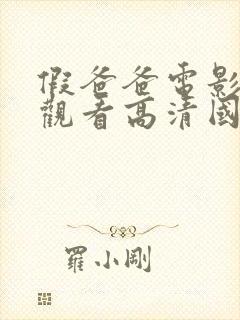 假爸爸电影免费观看高清国语版全集