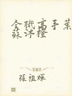 全职高手叶修和苏沐橙封面