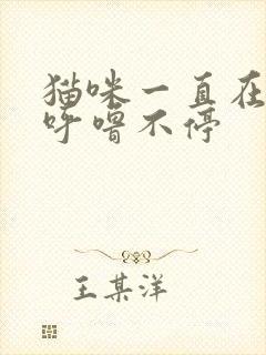 猫咪一直在呼噜呼噜不停