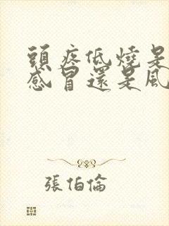 头疼低烧是风寒感冒还是风热感冒