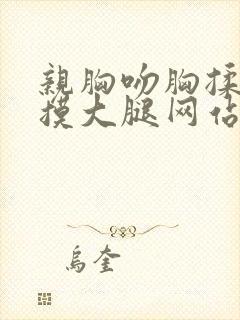 亲胸吻胸揉屁股摸大腿网站