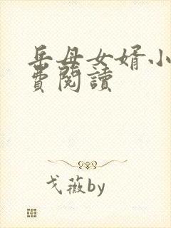 岳母女婿小说免费阅读