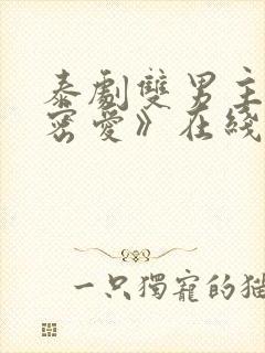 泰剧双男主《秘密爱》在线观看全集封面