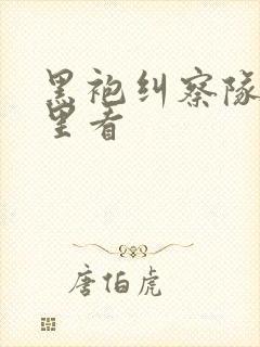 黑袍纠察队在哪里看