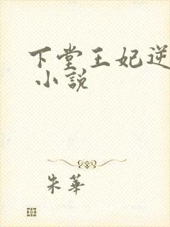 下堂王妃逆袭记 小说