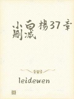小白杨37章无删减