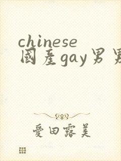 chinese国产gay男男网站