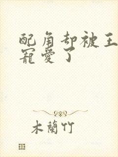 配角却被王子给宠爱了