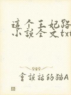 这个王妃路子野小说全文txt下载封面