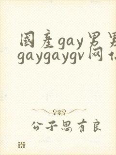 国产gay男男gaygaygv网站封面