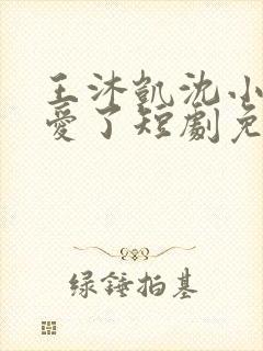 王沐凯沈小姐不爱了短剧免费播放