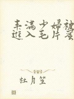 丰满少妇被猛烈进入毛片蜜桃封面