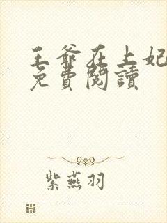 王爷在上妃在下免费阅读