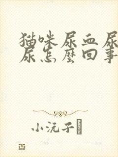 猫咪尿血尿频乱尿怎么回事啊