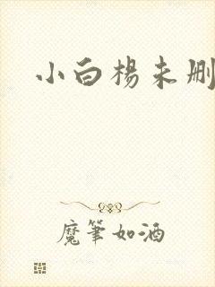 小白杨未删减版
