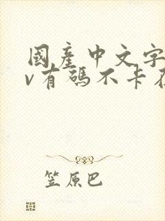 国产中文字幕av有码不卡在线