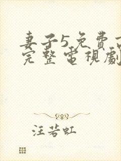 妻子5免费高清完整电视剧