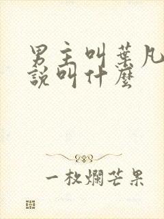 男主叫叶凡的小说叫什么