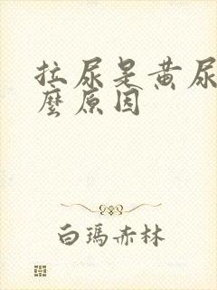 拉尿是黄尿是什么原因