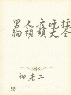 男人夜晚揉美女胸视频大全