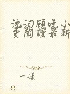 沈洵顾晚小说免费阅读最新章节