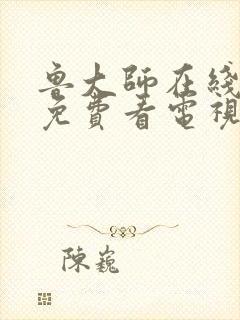 鲁大师在线高清免费看电视剧封面