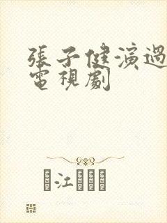 张子健演过哪些电视剧