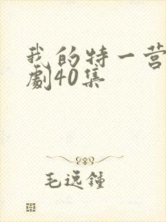 我的特一营电视剧40集