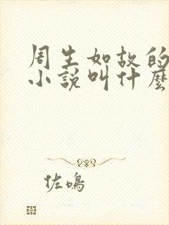 周生如故的原著小说叫什么名字