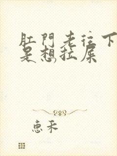 肛门老往下坠老是想拉屎