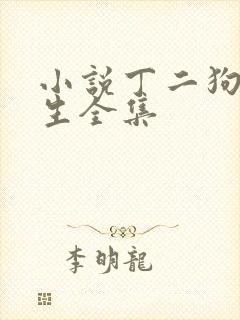 小说丁二狗的人生全集